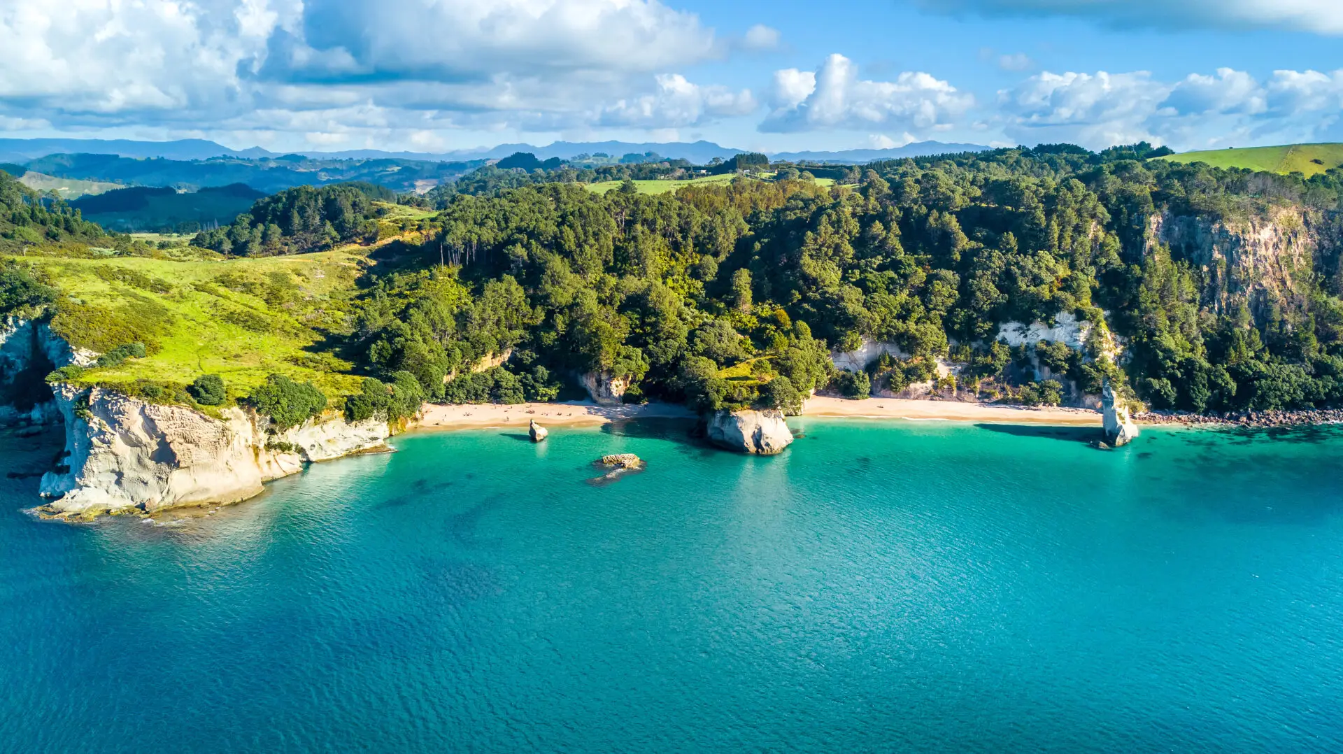 Coromandal Peninsula, beach, North Island, New Zealand