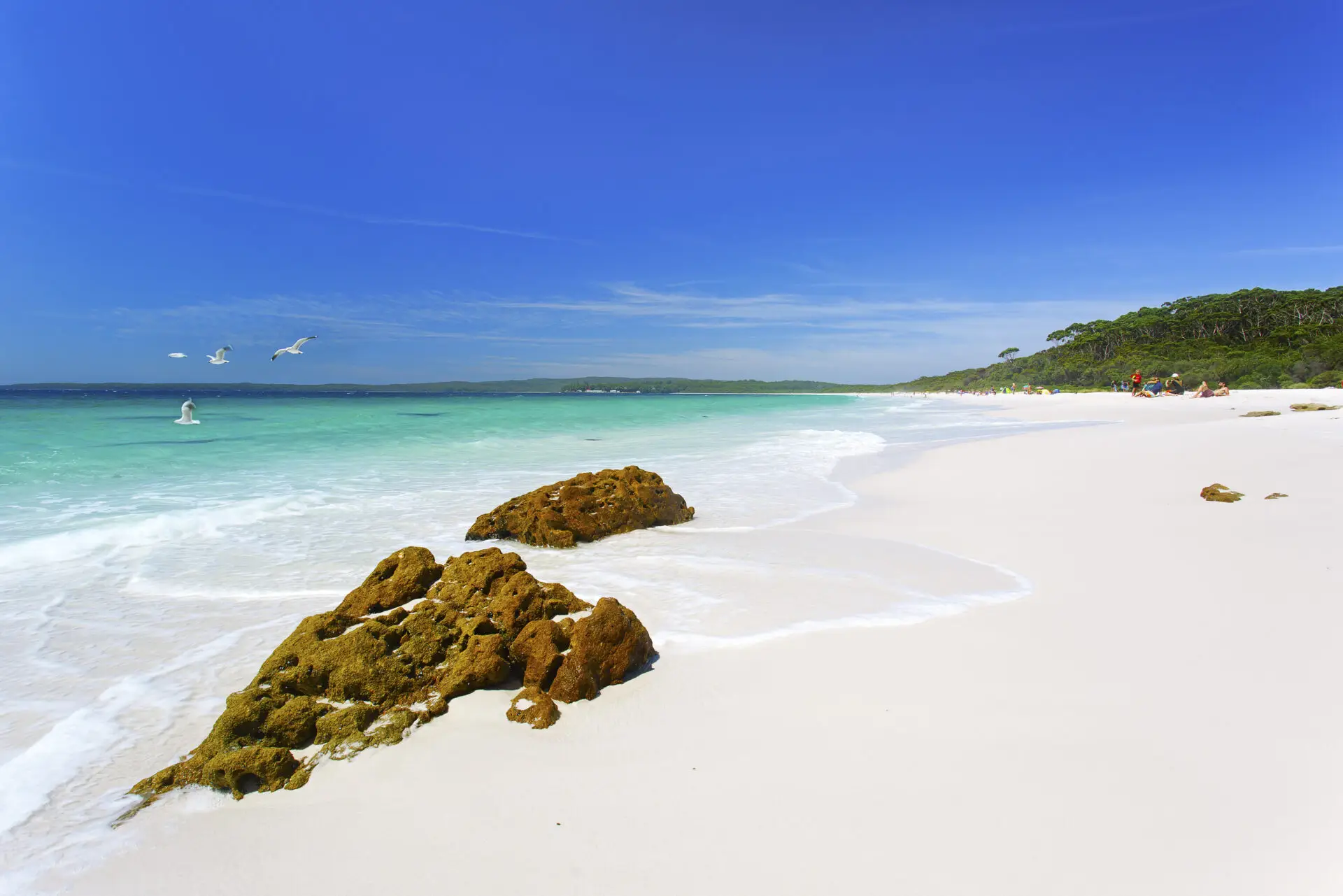 South Coast, NSW, Australia